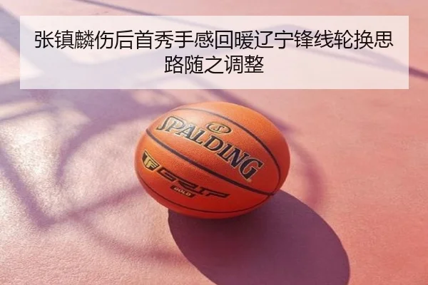 张镇麟伤后首秀手感回暖辽宁锋线轮换思路随之调整